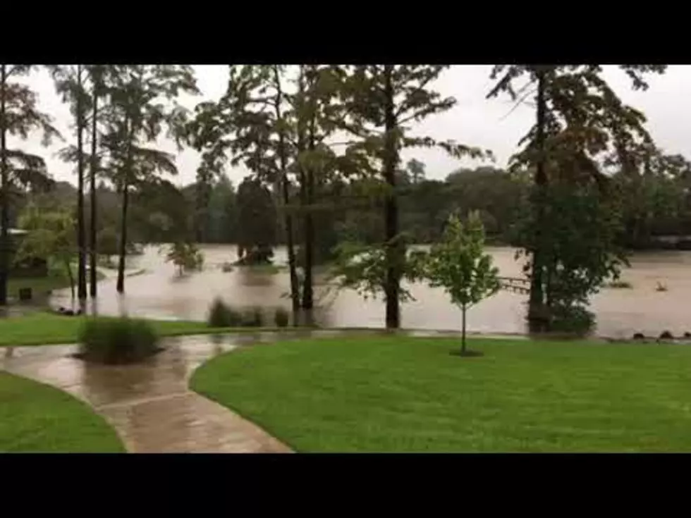 Vermilion River at Camellia Boulevard During Hurricane Harvey Rainstorms [VIDEO]