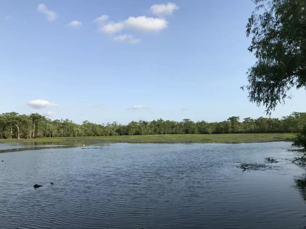 LDWF Offers Advice to Lake Swimmers