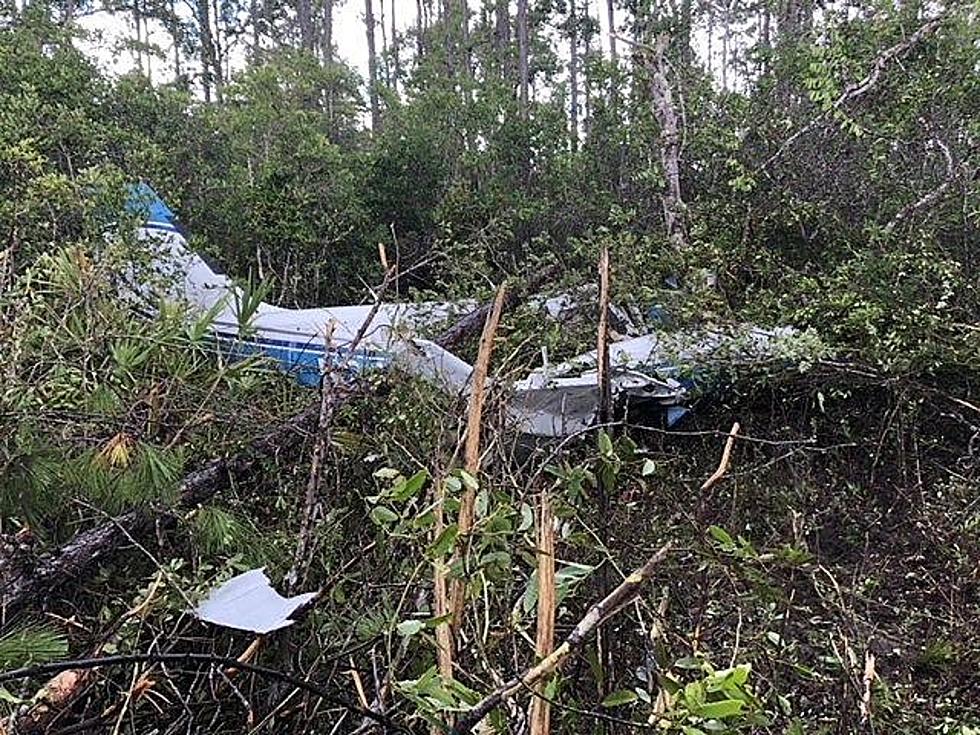 Lafayette Pilot And Acadiana Passengers Survive Plane Crash In Orange Beach