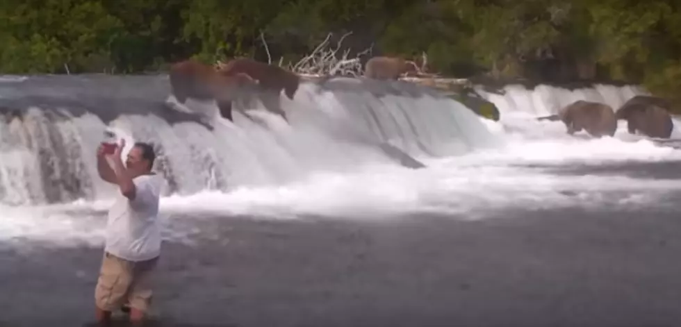 Guy Wanders Into A River With Hungry Bears&#8230;And Gets A Surprise! [Video]