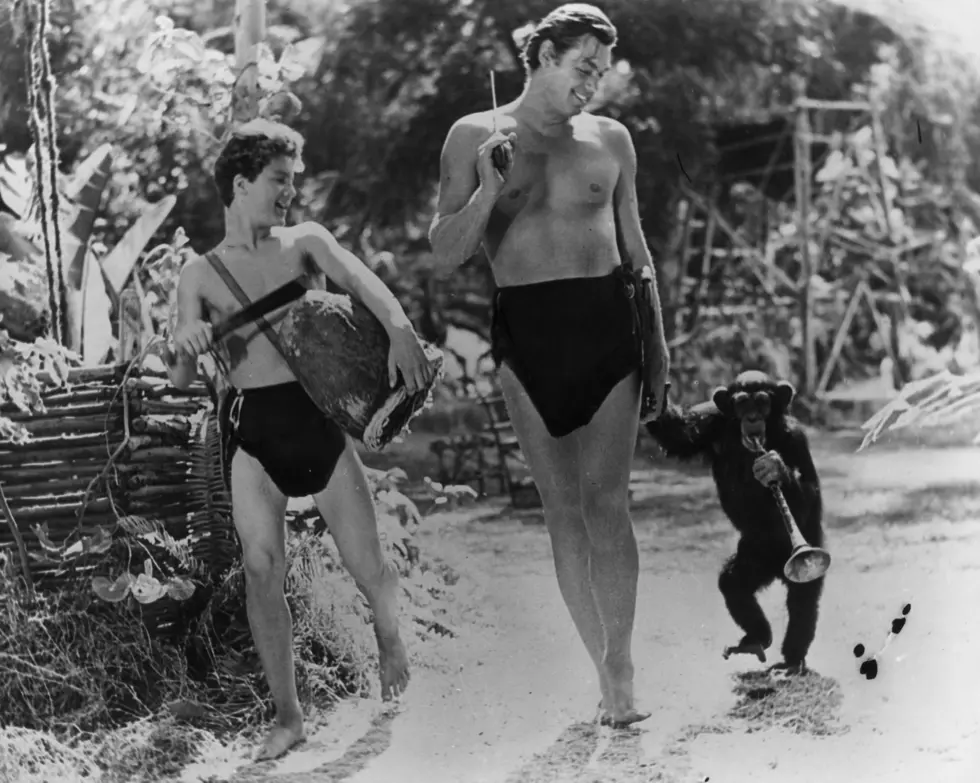 Happy Tarzan Day, Today in History, Celebrity Birthdays