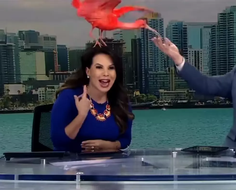 The Best News Bloopers Of 2018 Are Here! [NSFW]