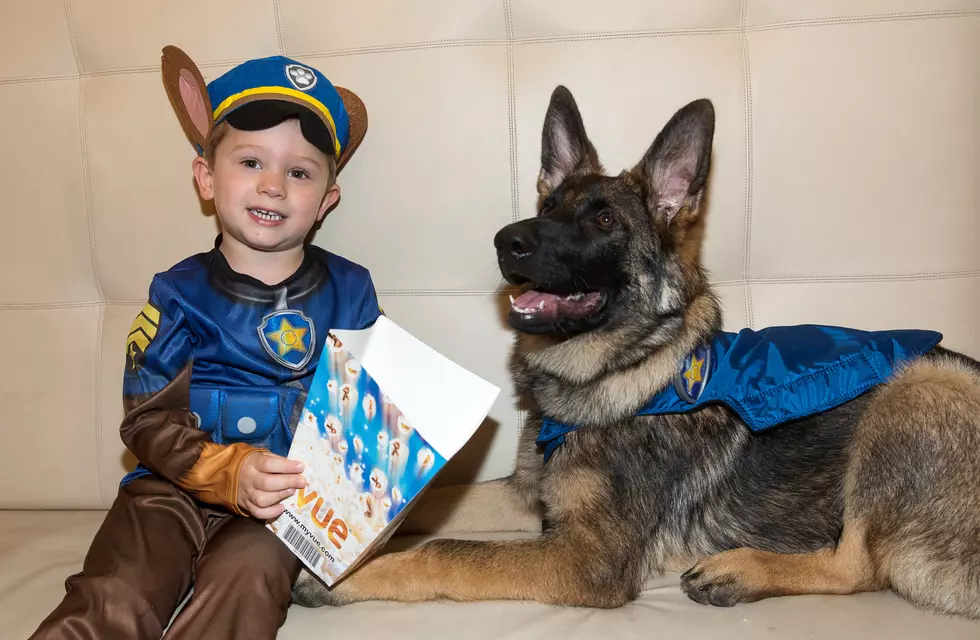 Paw Patrol Live! Free Tickets:  CJ’s Daily Message May 25, 2019