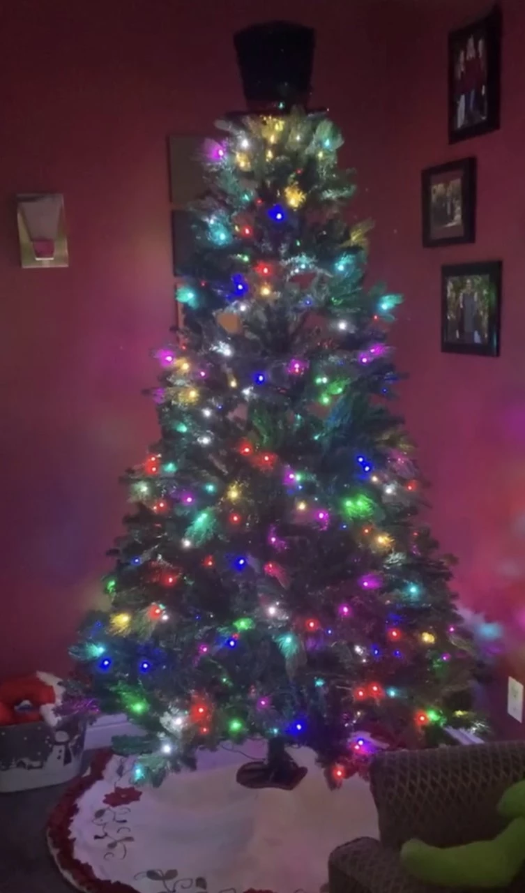 The Alexa Enabled Christmas Tree Has Made Its Way To Acadiana