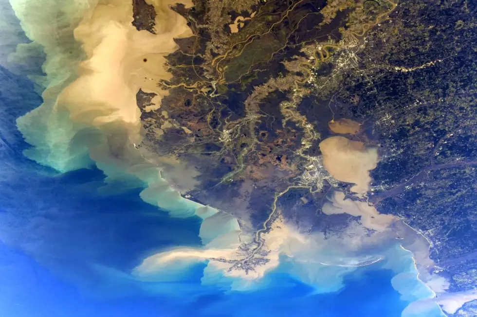 Captivating South Louisiana Photo Taken From Space by Astronaut