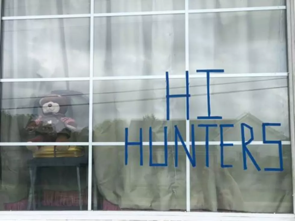 Is Your Neighborhood Doing a  ‘Bear Hunt’?