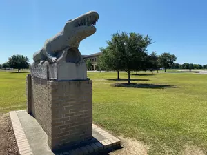10 One-of-a-Kind Louisiana High School Mascots