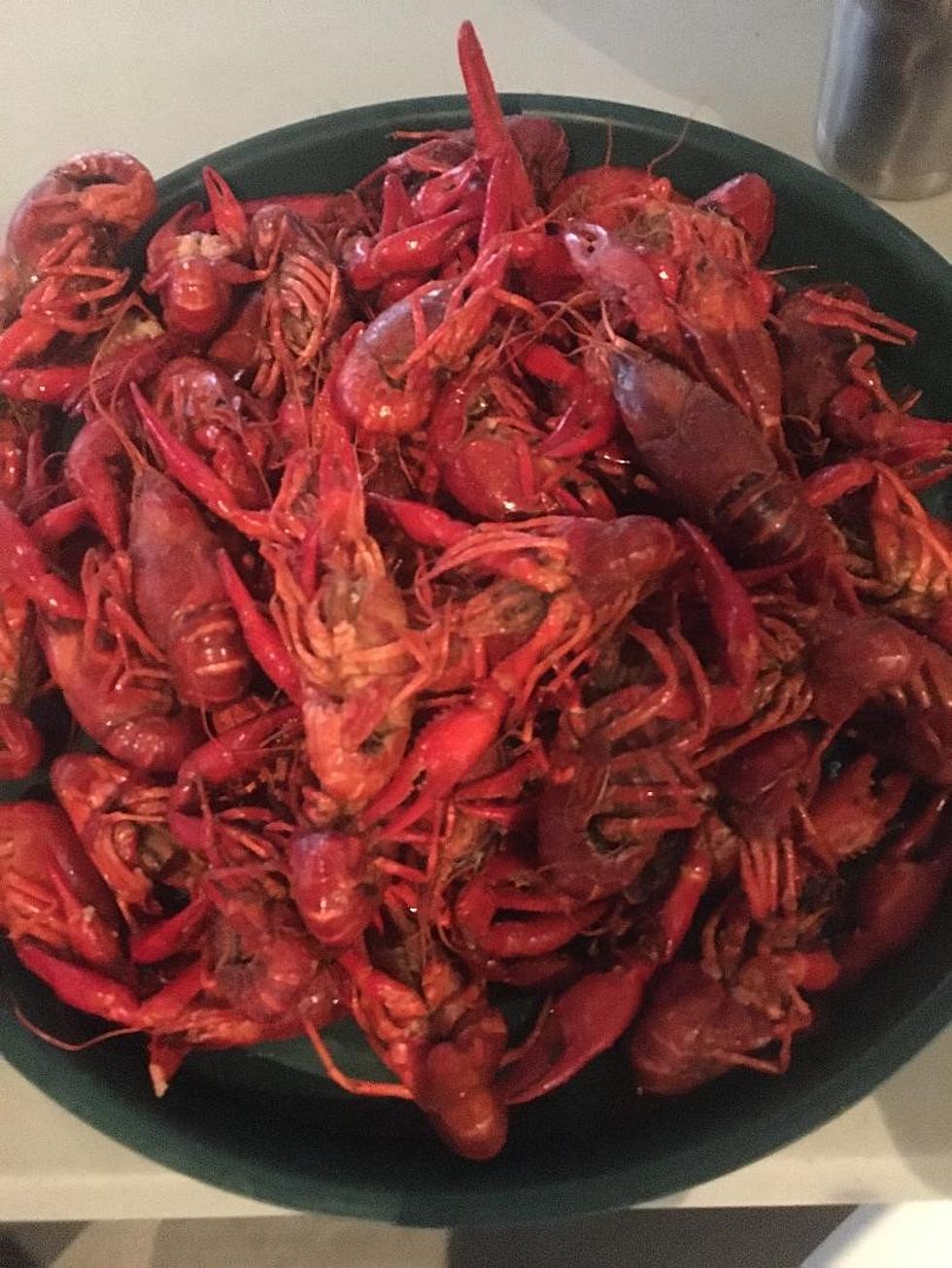 Louisiana Man Hilariously Narrates Nashville Crawfish Boil [VIDEO]