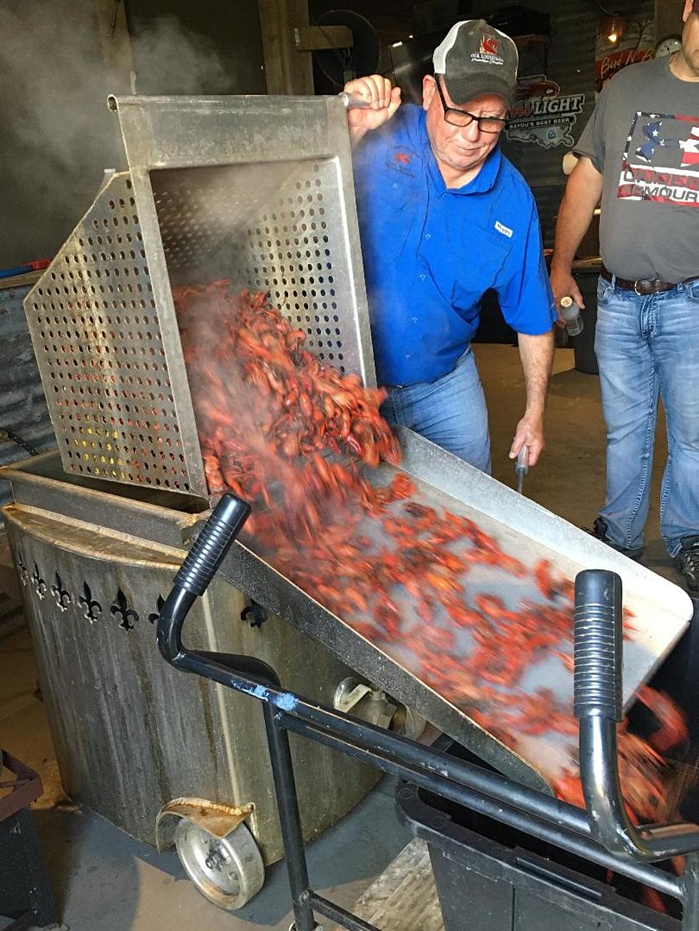 Here's a Look at Just How Much Crawfish Louisiana Eats Every Year