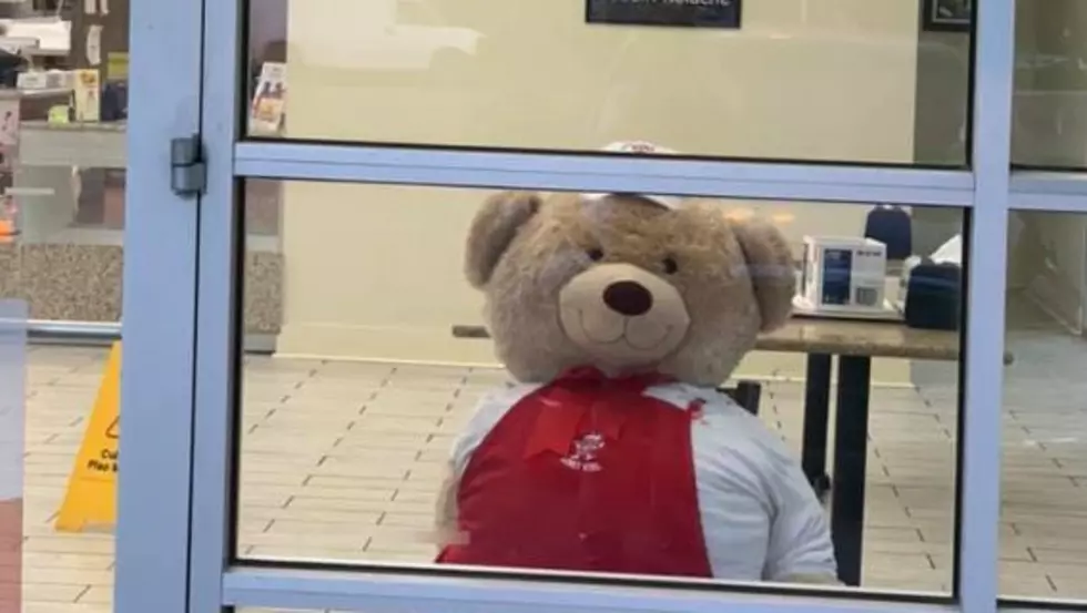 Local Restaurants Participate in Teddy Bear Hunt