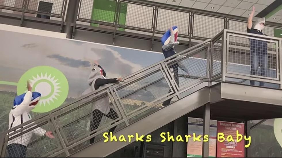 Southside High School&#8217;s Video &#8216;Sharks Sharks Baby&#8217; is  On Point