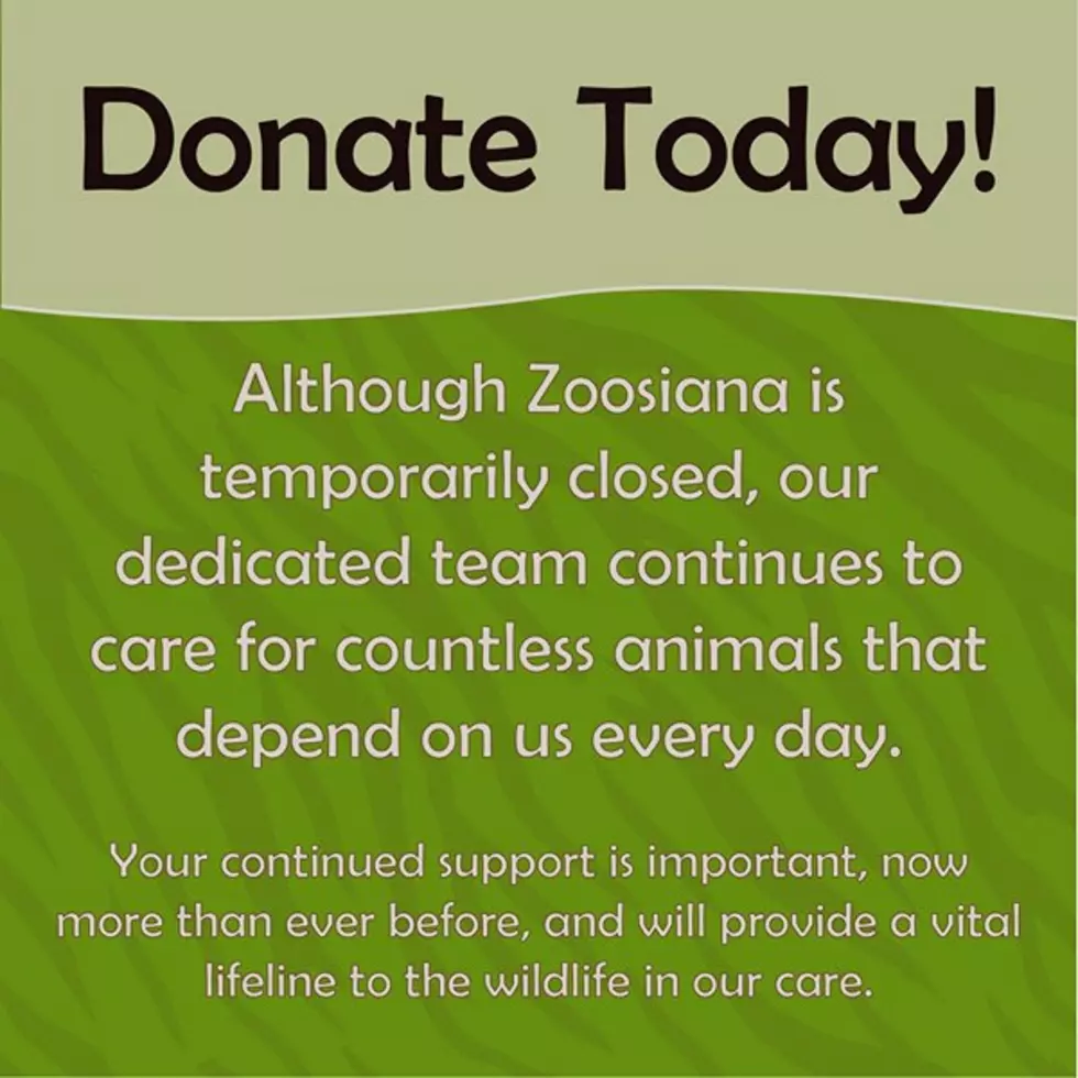 Zoosiana- Zoo of Acadiana Facebook
