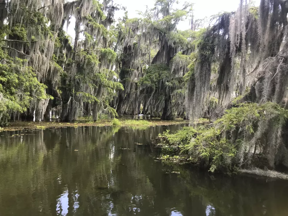 Lake Martin, Louisiana