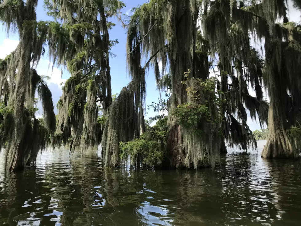 9 Privileges That Louisiana Residents Have