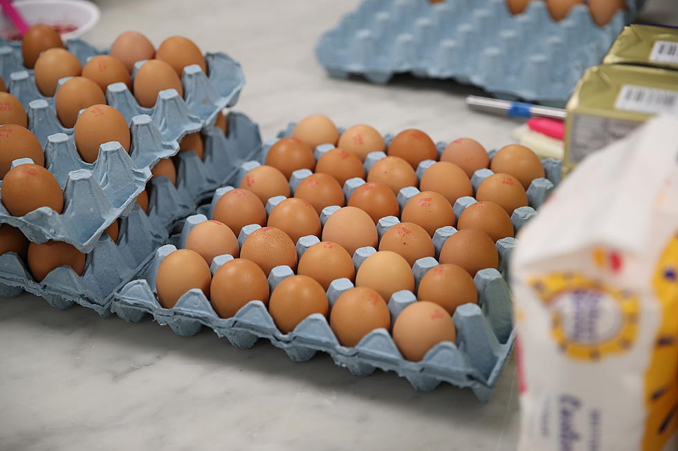 Storing Eggs in the Door of Your Fridge is Not a Good Idea