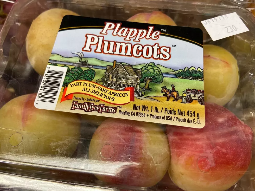 Plumcots and Plum Cherries are in Lafayette