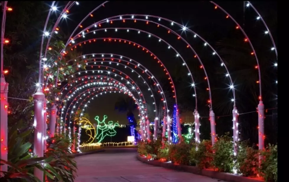 Enter to Win a Fantastic Moody Gardens Holiday Getaway