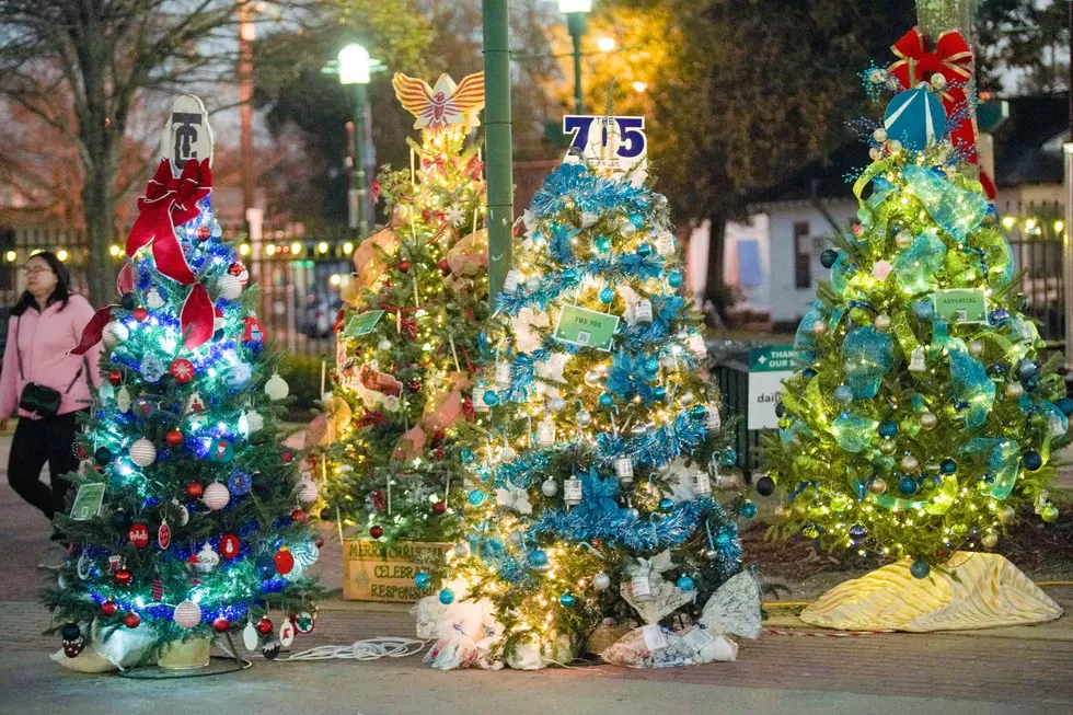 Decorate a Tree for The Christmas Tree Extravaganza