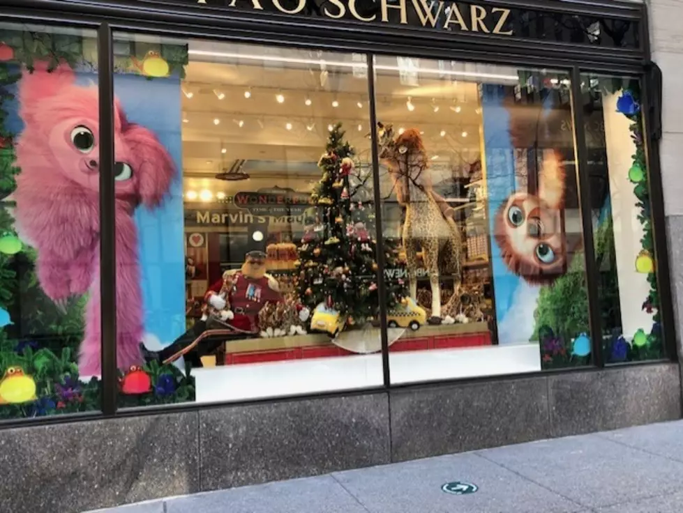 One Family Got to Spend the Night at FAO Schwarz