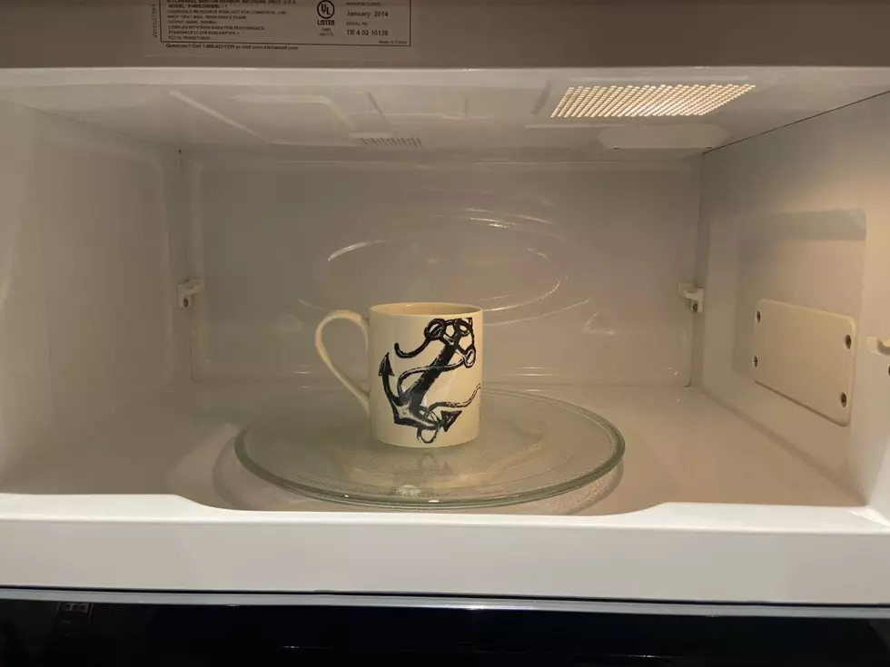 Where is the Hottest Spot in Your Microwave to Heat Stuff Faster