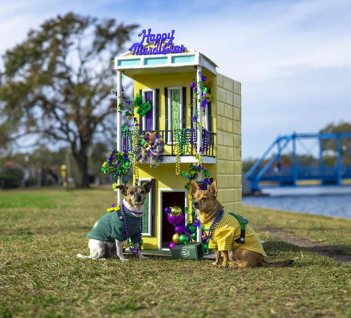 Mardi Paws Dog House Floats Show Creativity and Cheer