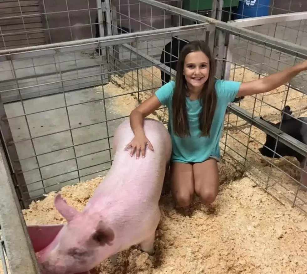 Abbeville Student’s Pig and Community Honors Her After She Dies