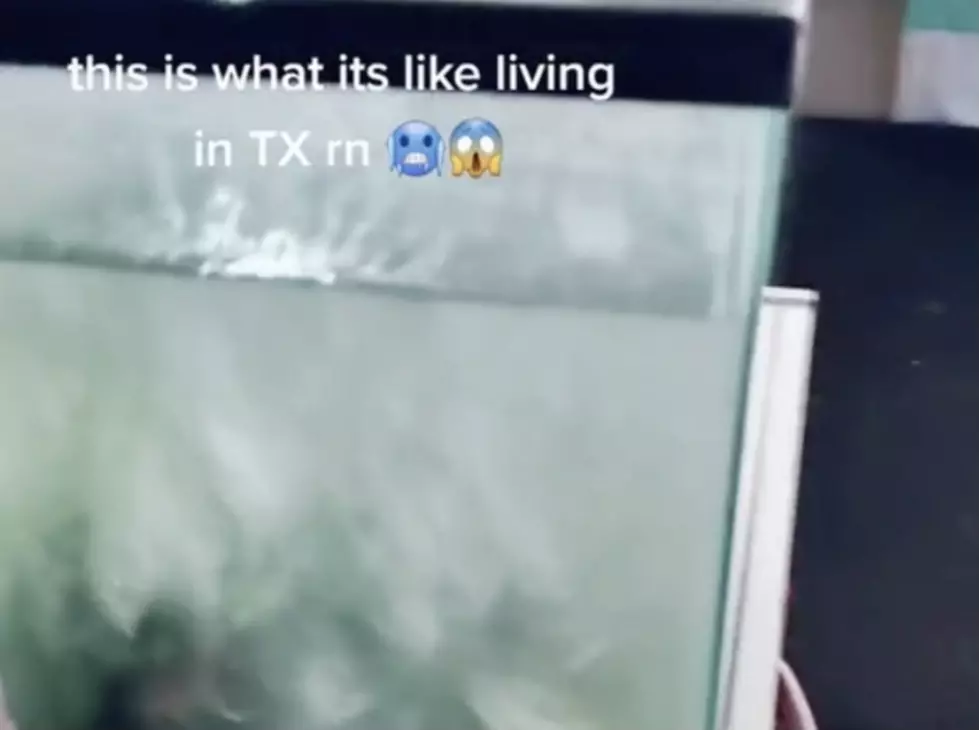 Family Fish Tank INSIDE Texas Home Freezes Solid