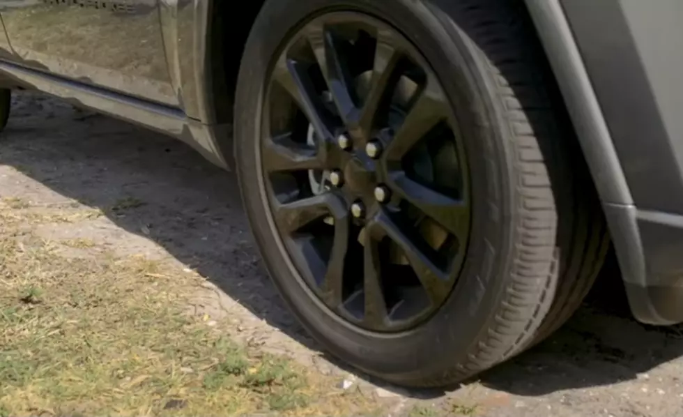 Florida Woman Fined Over $160,000, Tire Touches Grass in Her Yard