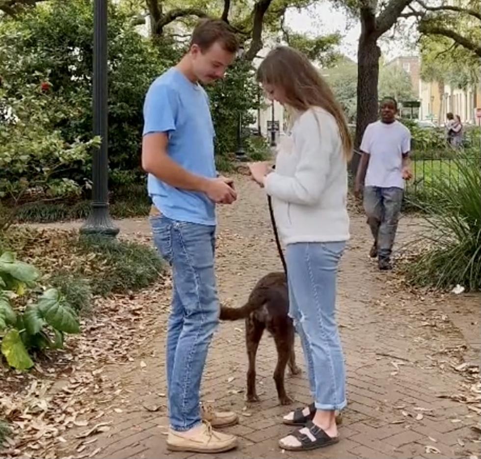 Marriage Proposal Video Catches Man on Phone Admitting to a Crime