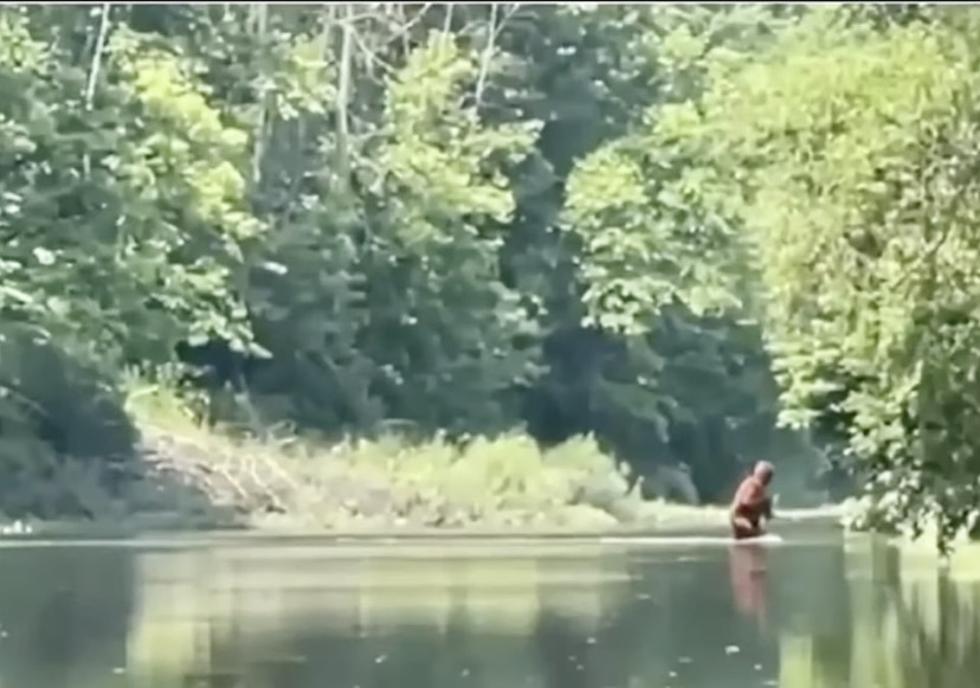 Latest Cellphone Video of Bigfoot Has Social Media Going Nuts