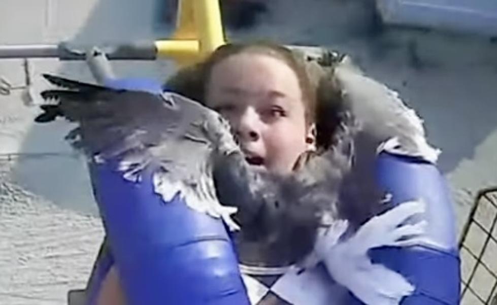 Kiley Holman Gets Hit in the Face by Seagull on Slingshot Ride