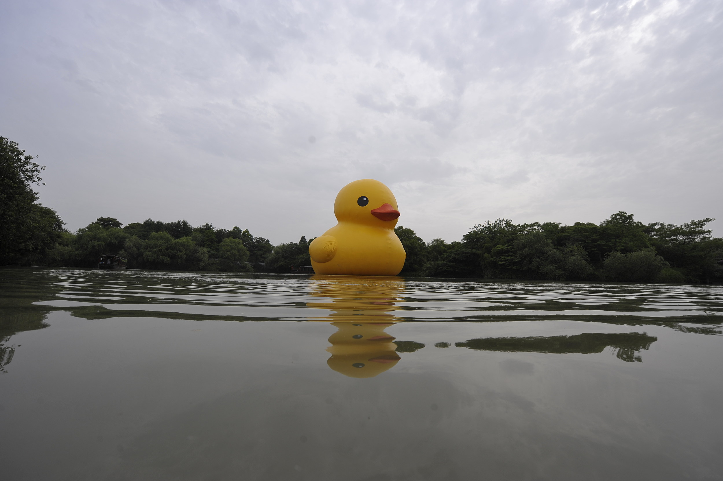 Giant Rubber Duck Appears In Maine Harbor And No One Know Why