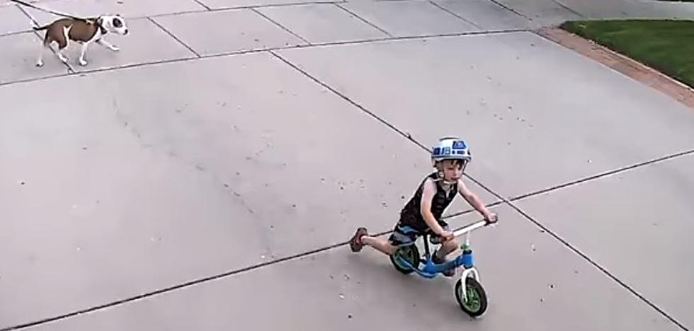 Kid Trespassies on Man's Driveway, Man Takes Action [VIDEO]