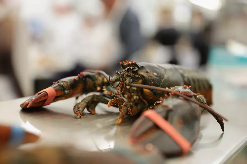 Photo by Neilson Barnard/Getty Images for The New York Culinary Experience