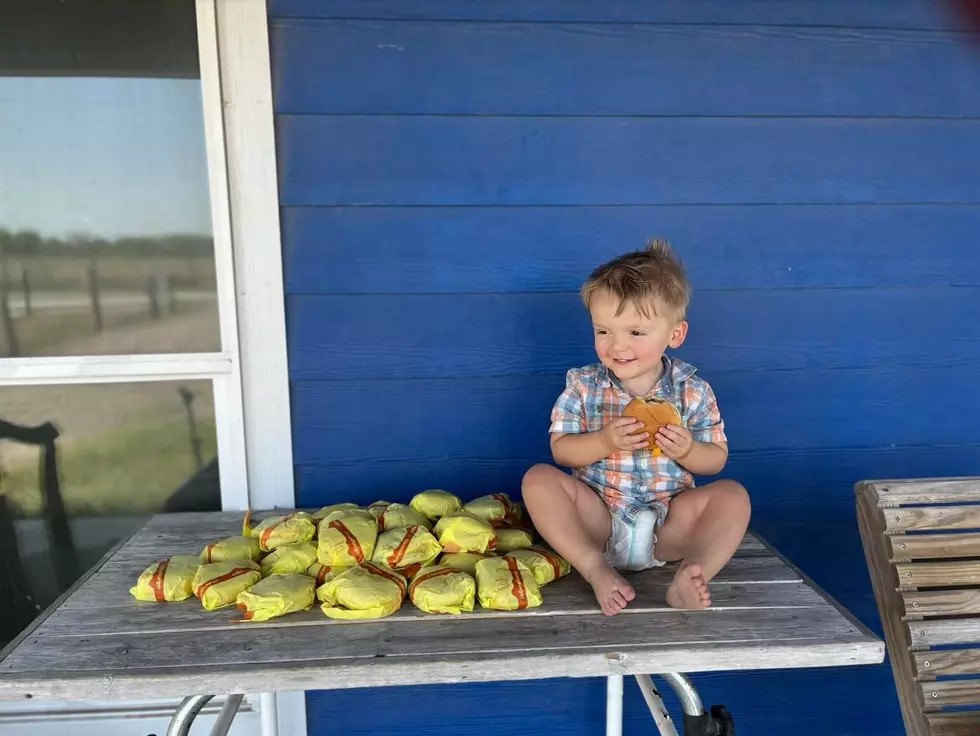 Little Boy Orders 31 Cheeseburgers From Mom&#8217;s Phone