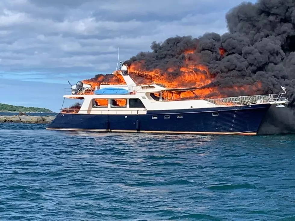 Three People Jump From Burning Yacht—What About the Two Dogs?