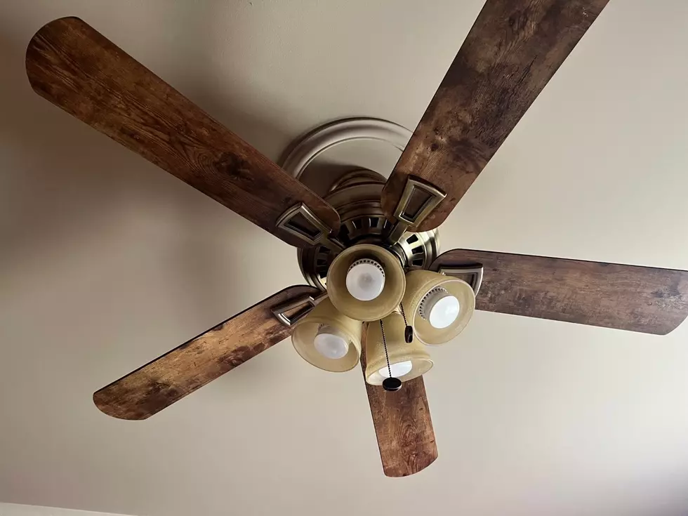 Which Way Should Your Ceiling Fan Blades Be Rotating?