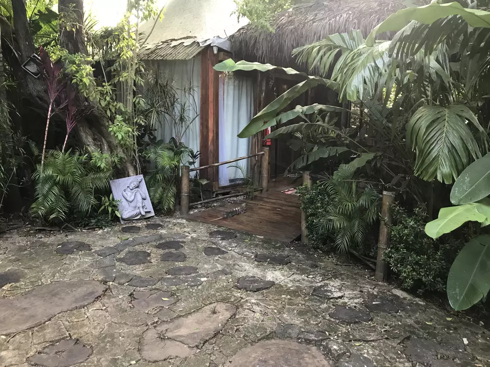 Check Out this Airbnb on the Beach in Costa Rica