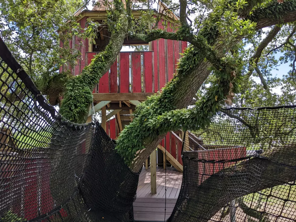 Moncus Park Treehouse is Now Open
