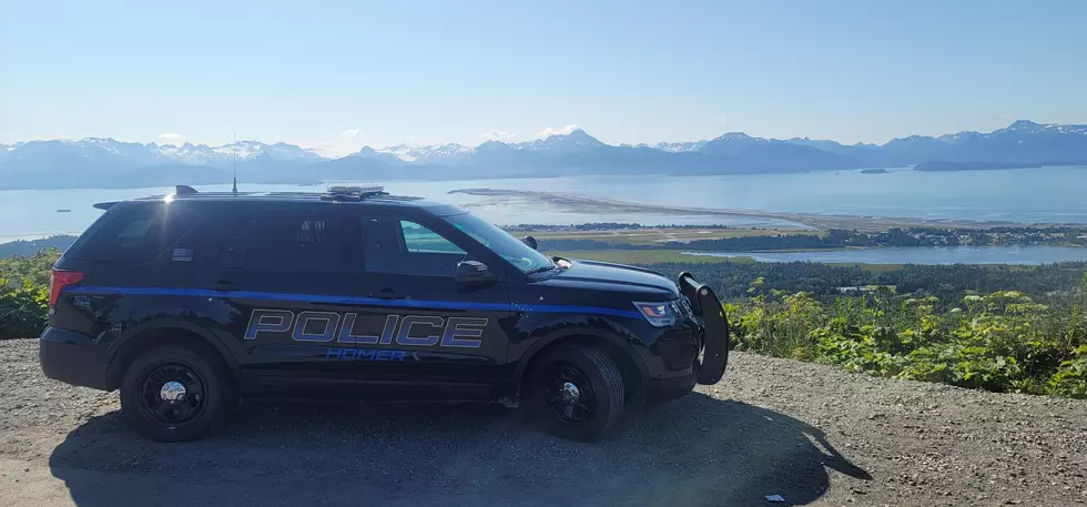 Homer, Alaska: Funniest Police Dept Social Media Page?