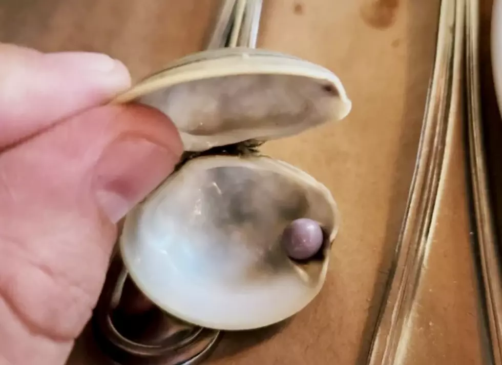 Imagine Finding a Rare Purple Pearl in Your Meal