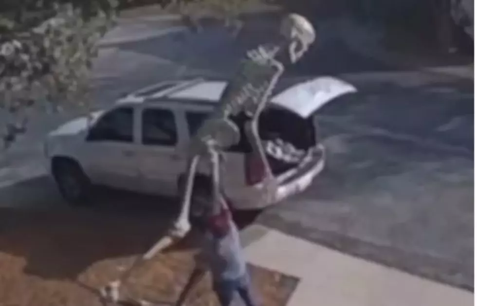 Huge Skeleton Stolen, Stuffed into SUV in Broad Daylight
