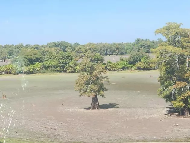 Photos Show a Dried-Up Henderson Lake Under the Atchafalaya Basin Bridge