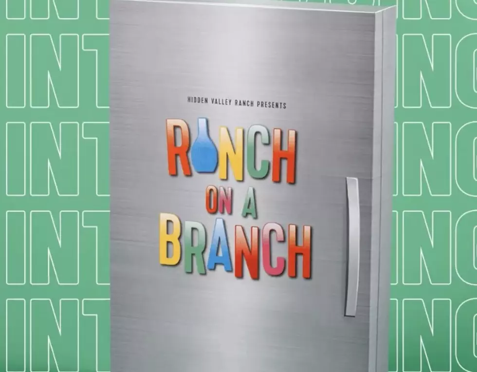 Elf on the Shelf Getting Replaced With Ranch on a Branch?