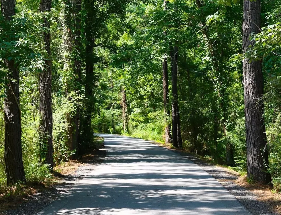 31 Miles of Paved Hiking, Biking and Riding Louisiana Perfection 