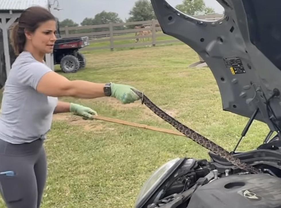 Watch as A Brave Mom Removes a Large Snake From Daughter’s Car