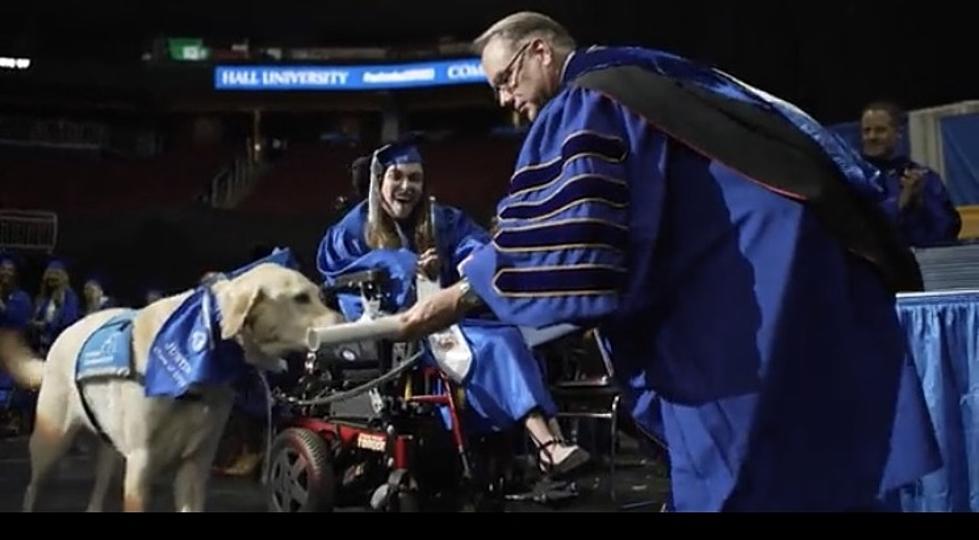 A Service Dog Receives a Diploma Alongside Owner