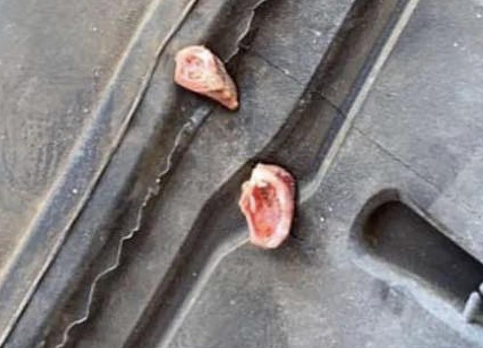 Louisiana Automotive Shop Identifies Bizarre Objects in Tire That Caused Flat