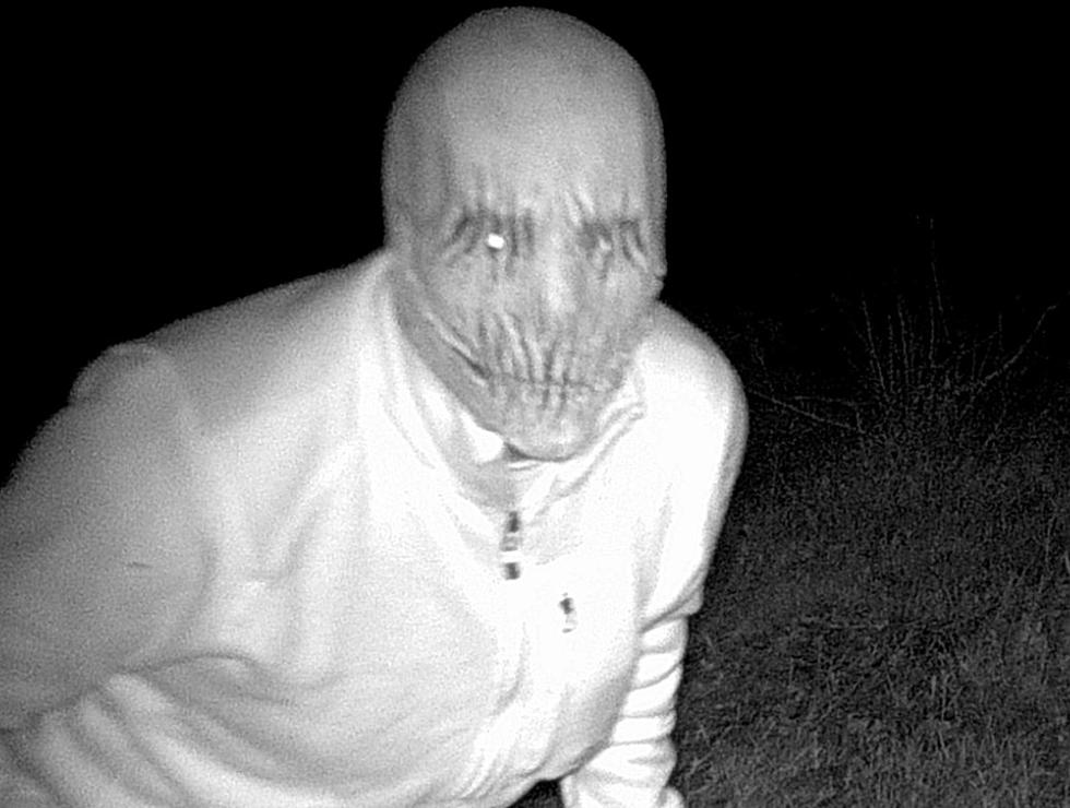 Police Catch A Disturbing Subject on Trail Camera [PHOTOS]