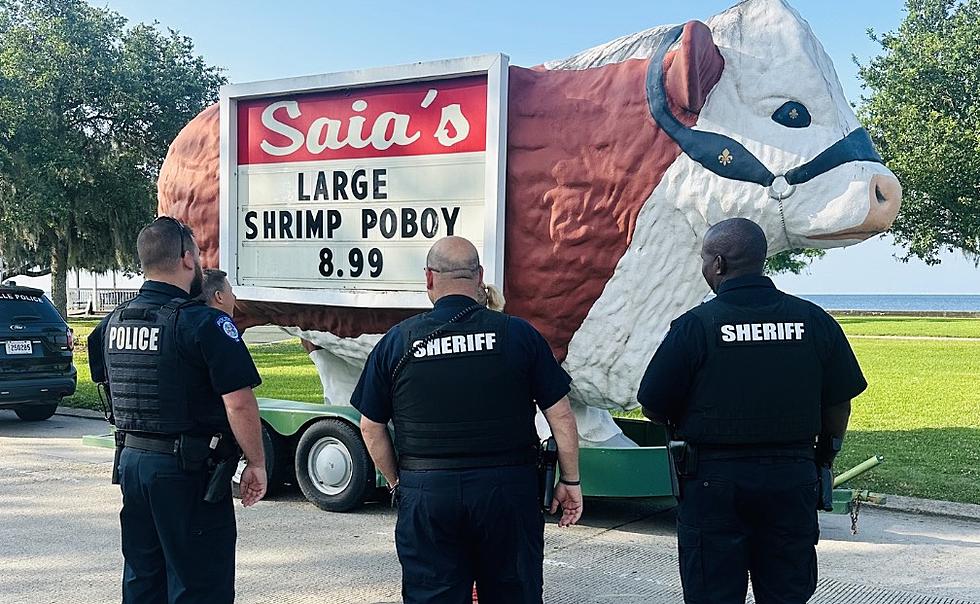 Pranksters in Louisiana Relocate Giant Cow, Leave it By Lakefront